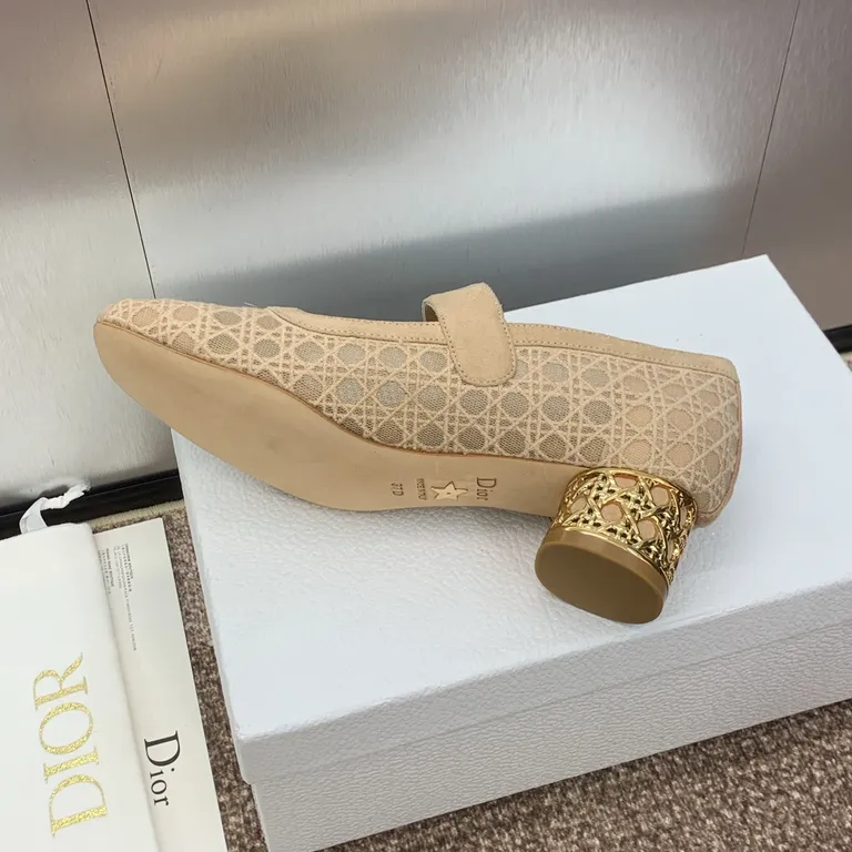 Dior Shoe 